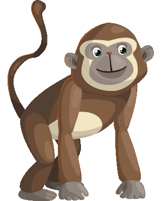 Monkey